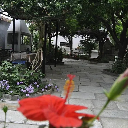 Machi Apartament *