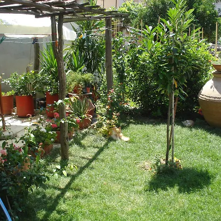 Apartament Machi